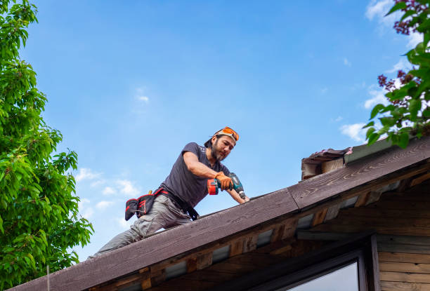 Best Sheet Metal Roofing  in Grain Valley, MO